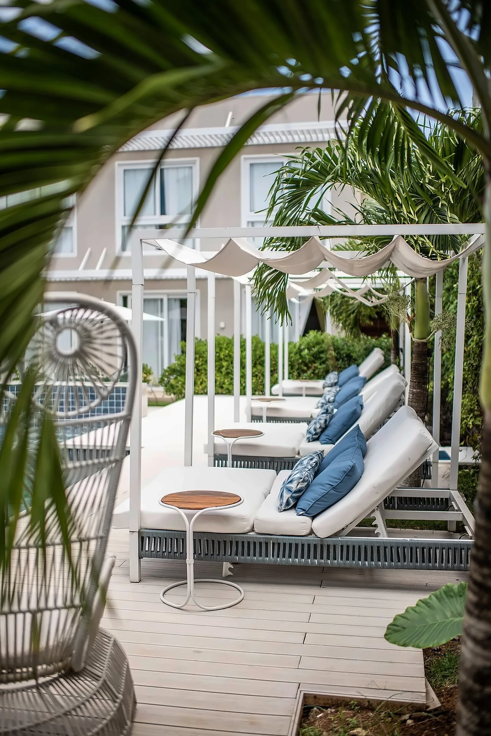 Sun loungers beside the swimming pool